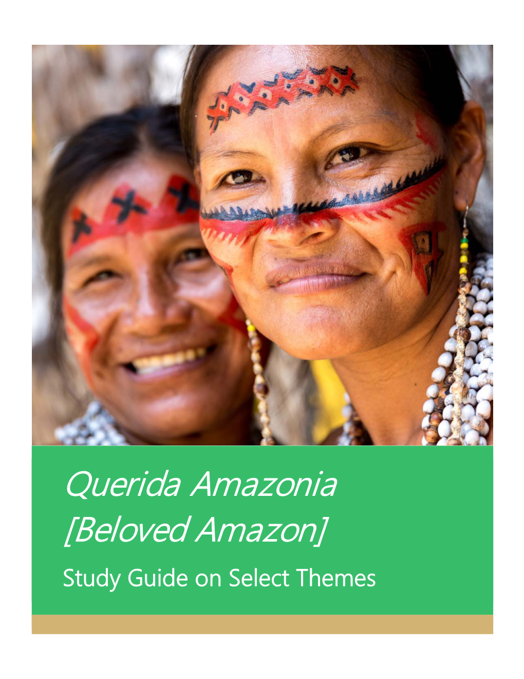 Querida Amazonia [Beloved Amazon]