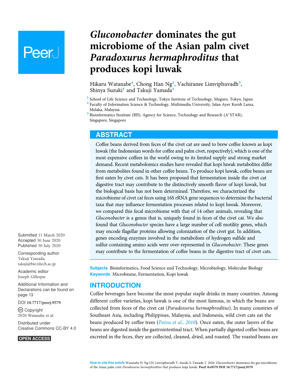 Gluconobacter Dominates the Gut Microbiome of the Asian Palm Civet Paradoxurus Hermaphroditus That Produces Kopi Luwak