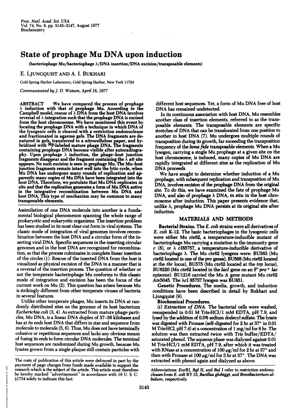 State of Prophage Mu DNA Upon Induction (Bacteriophage Mu/Bacteriophage X/DNA Insertion/DNA Excision/Transposable Elements) E