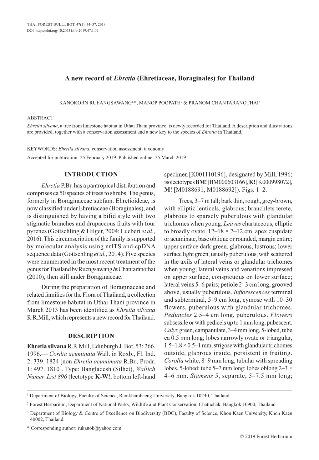 A New Record of Ehretia (Ehretiaceae, Boraginales) for Thailand