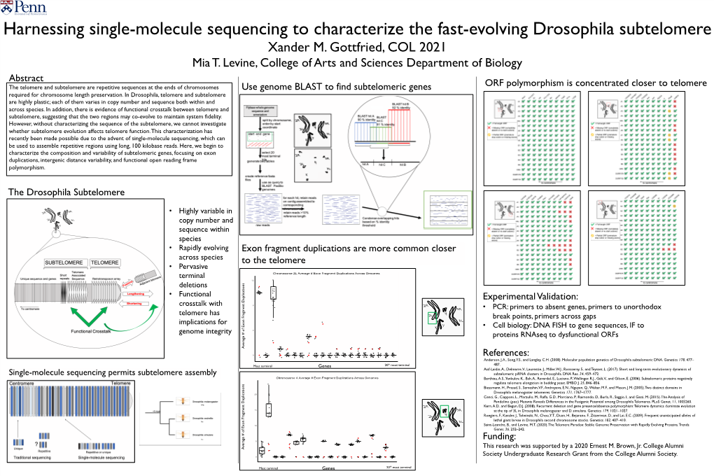 Harnessing Single-Molecule Sequencing to Characterize the Fast-Evolving Drosophila Subtelomere Xander M