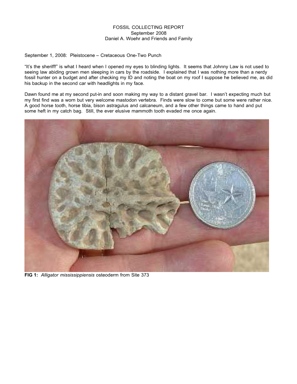 Pleistocene – Cretaceous One-Two Punch