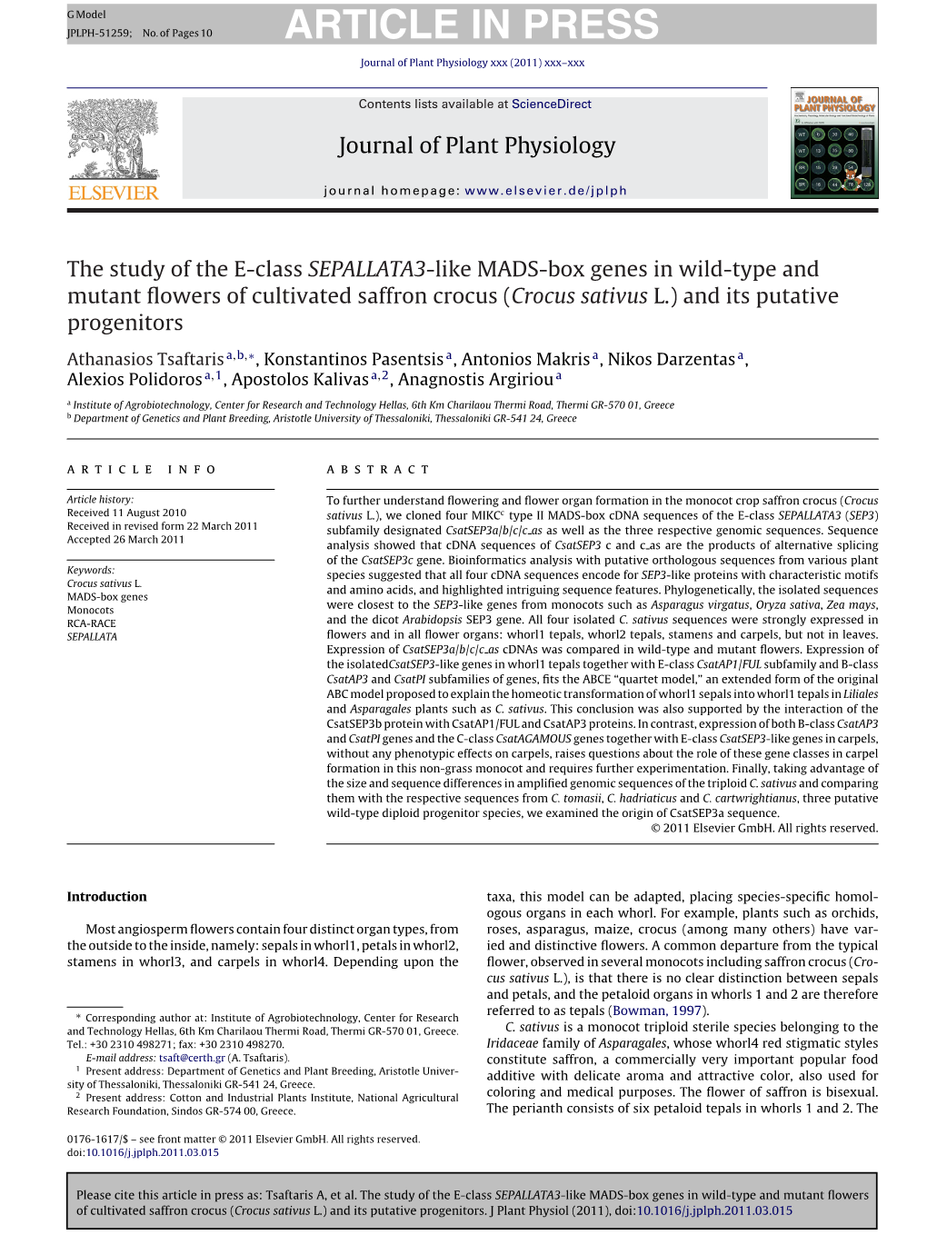 The Study of the E-Class SEPALLATA3-Like MADS-Box Genes in Wild-Type and Mutant ﬂowers of Cultivated Saffron Crocus (Crocus Sativus L.) and Its Putative Progenitors