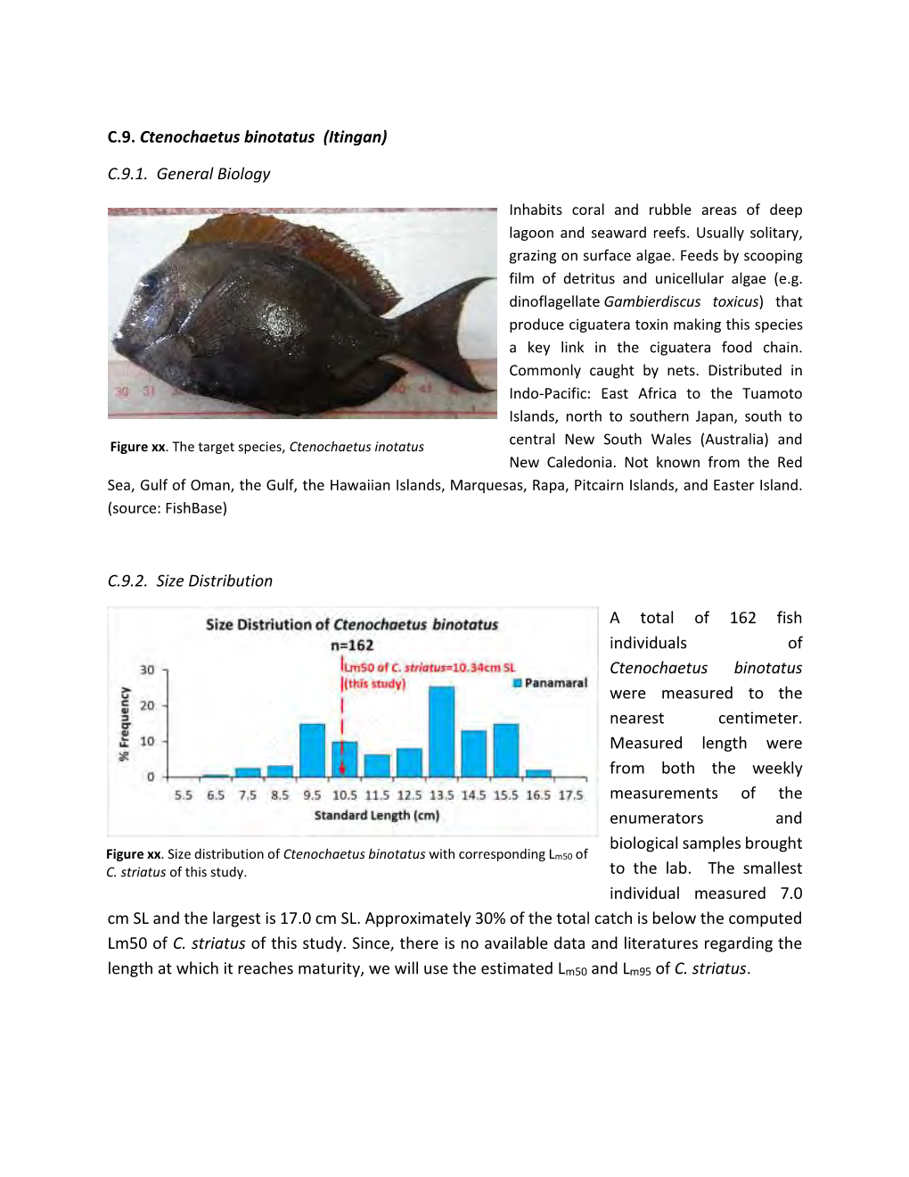 C.9. Ctenochaetus Binotatus (Itingan) C.9.1. General Biology C.9.2. Size