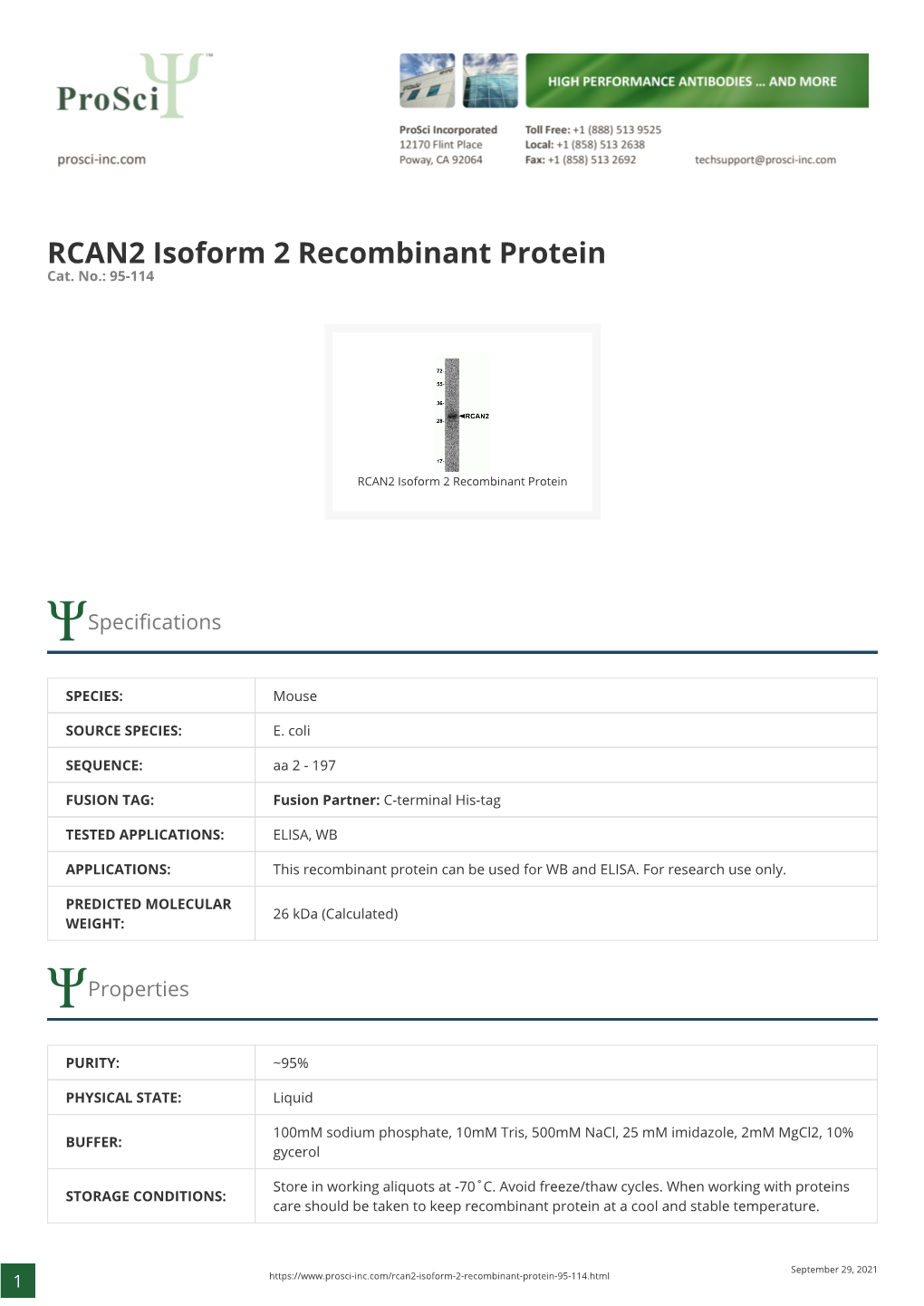 RCAN2 Isoform 2 Recombinant Protein Cat