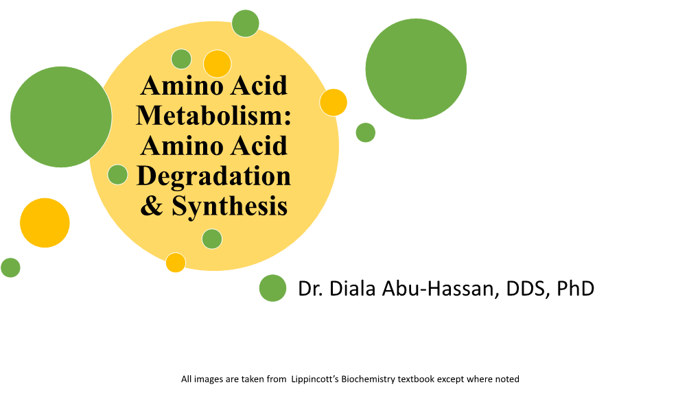 Amino Acid Metabolism: Amino Acid Degradation & Synthesis