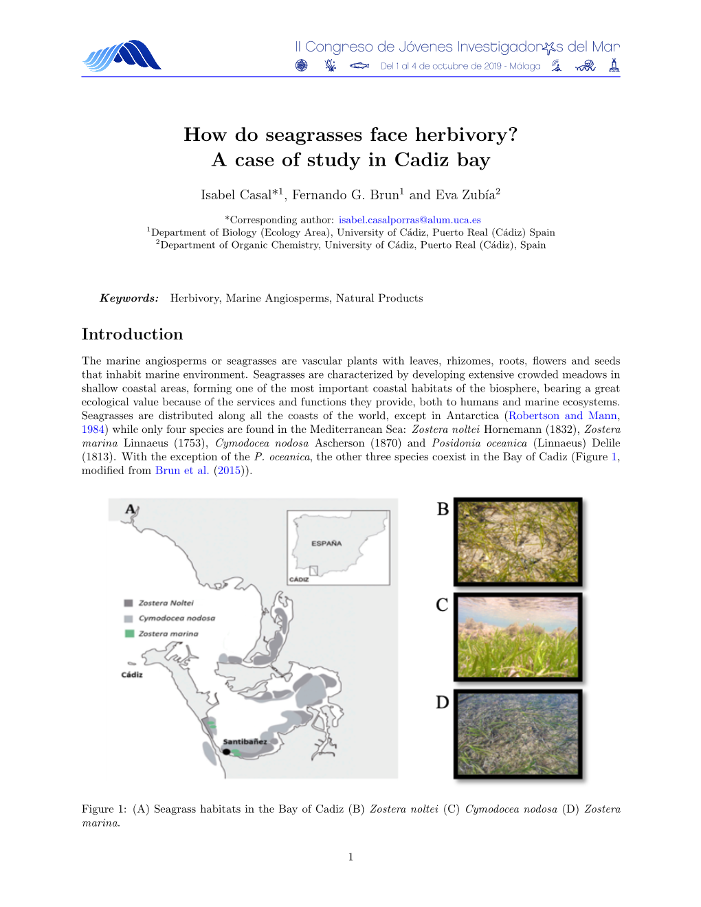 How Do Seagrasses Face Herbivory? a Case of Study in Cadiz Bay