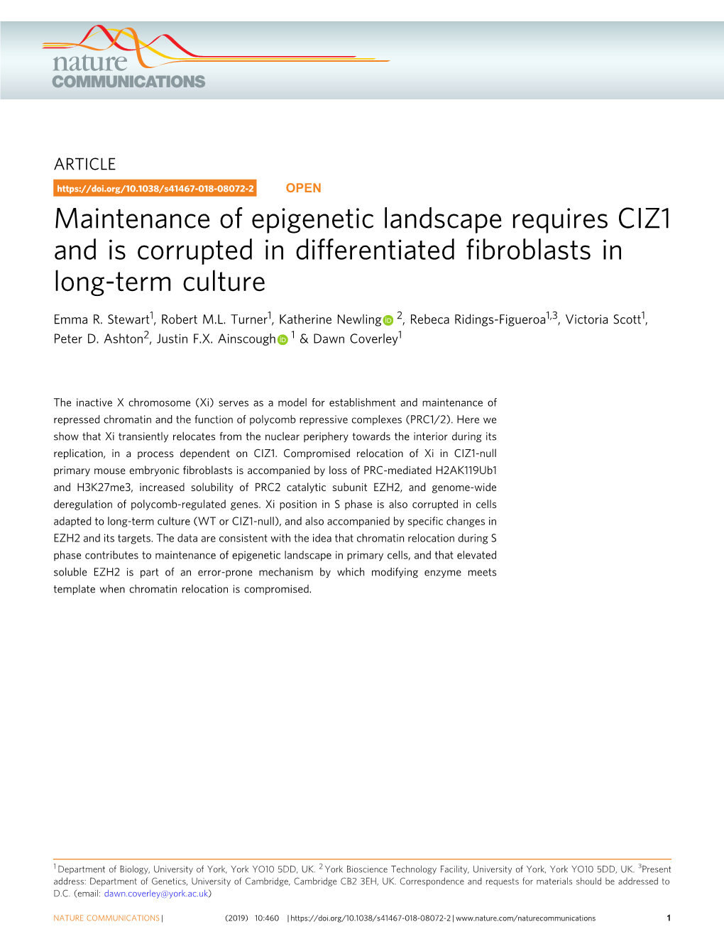 Maintenance of Epigenetic Landscape Requires CIZ1 and Is Corrupted in Differentiated ﬁbroblasts in Long-Term Culture