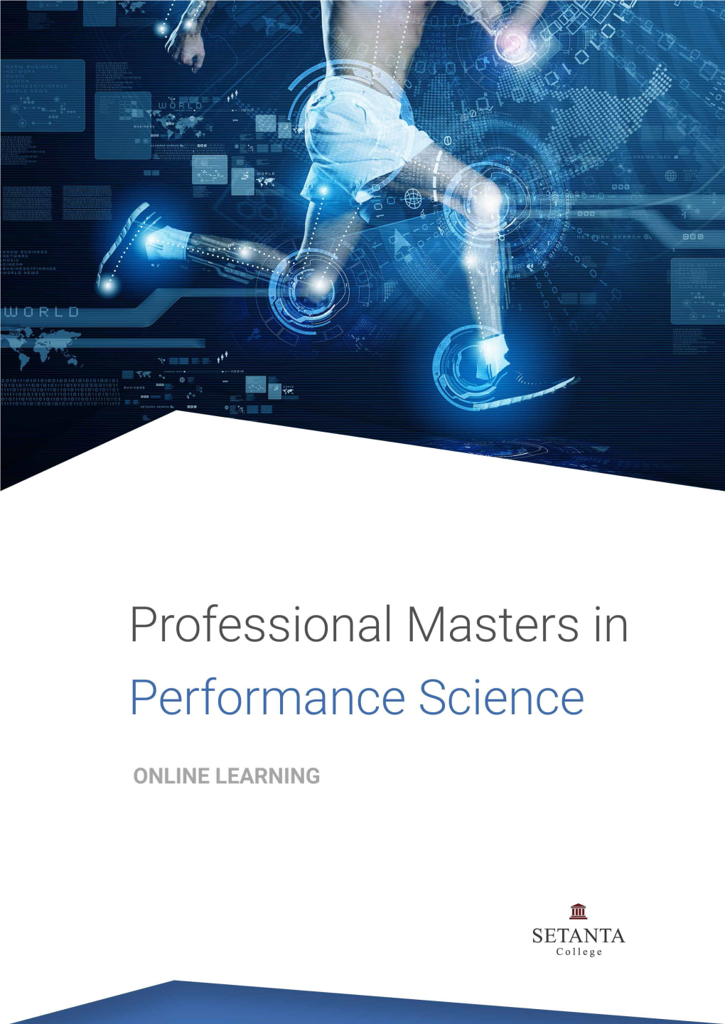 Professional Masters Brochure