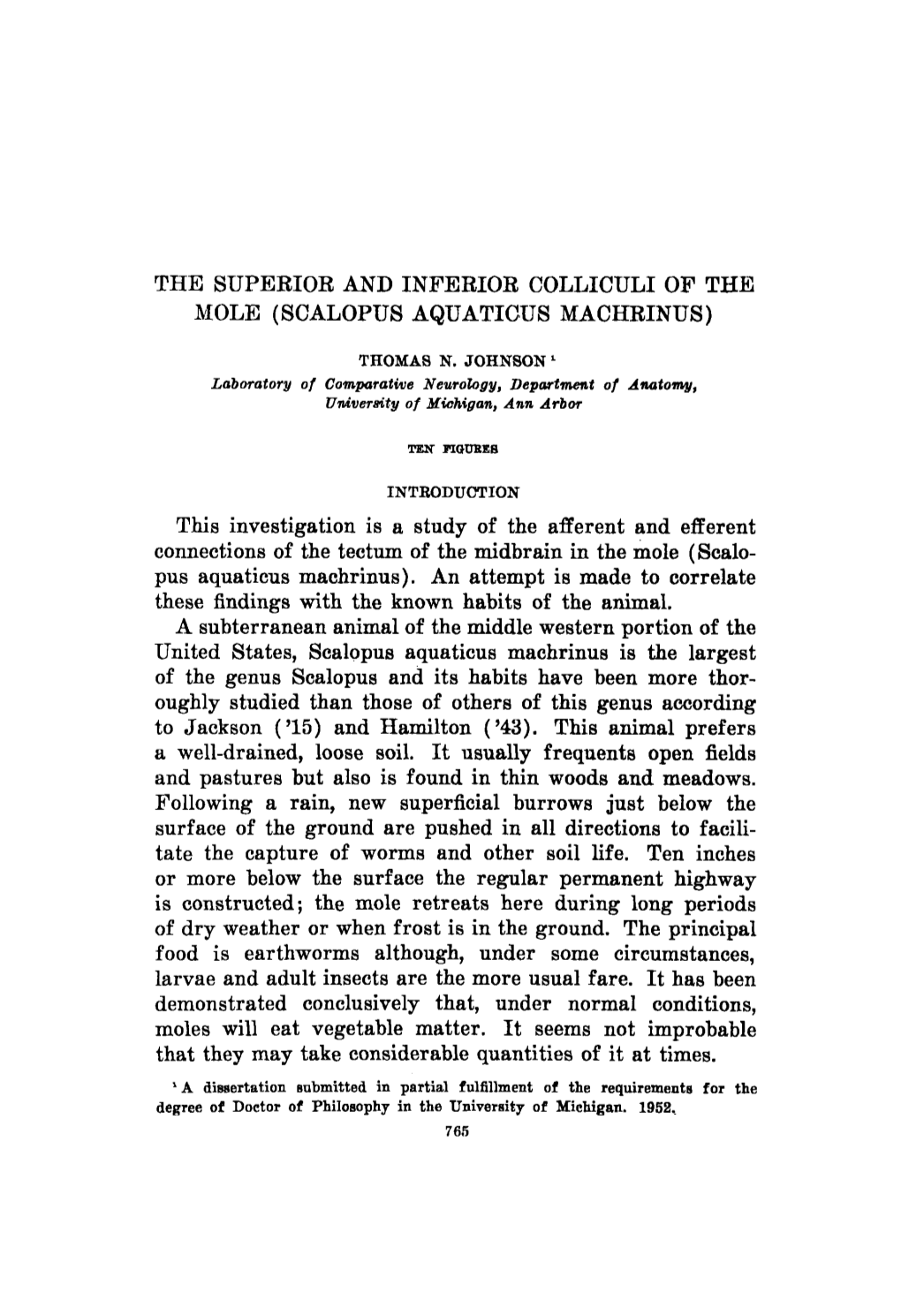 The Superior and Inferior Colliculi of the Mole (Scalopus Aquaticus Machxinus)