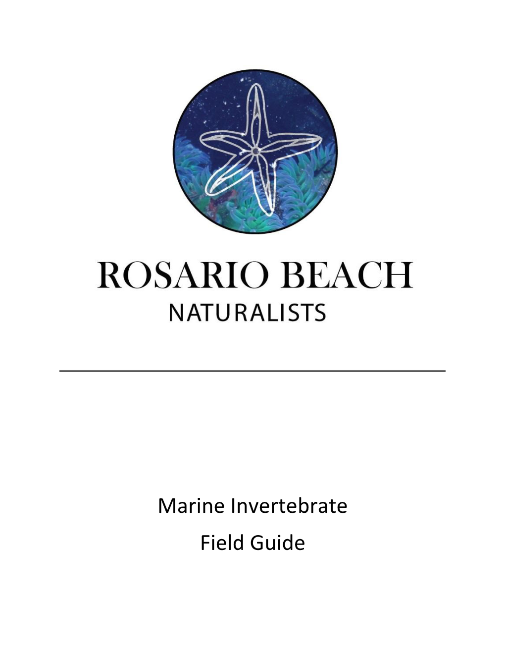 Marine Invertebrate Field Guide