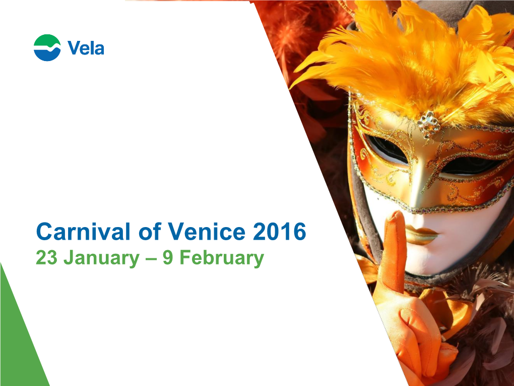 2016 Venice Carnival Special Projects Case History