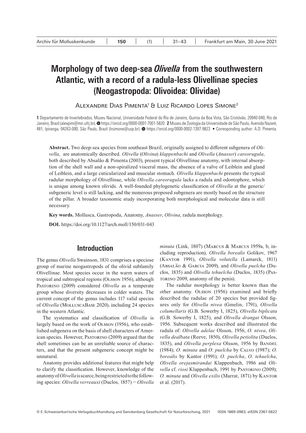 Morphology of Two Deep-Sea Olivella from the Southwestern Atlantic, with a Record of a Radula-Less Olivellinae Species (Neogastropoda: Olivoidea: Olividae)