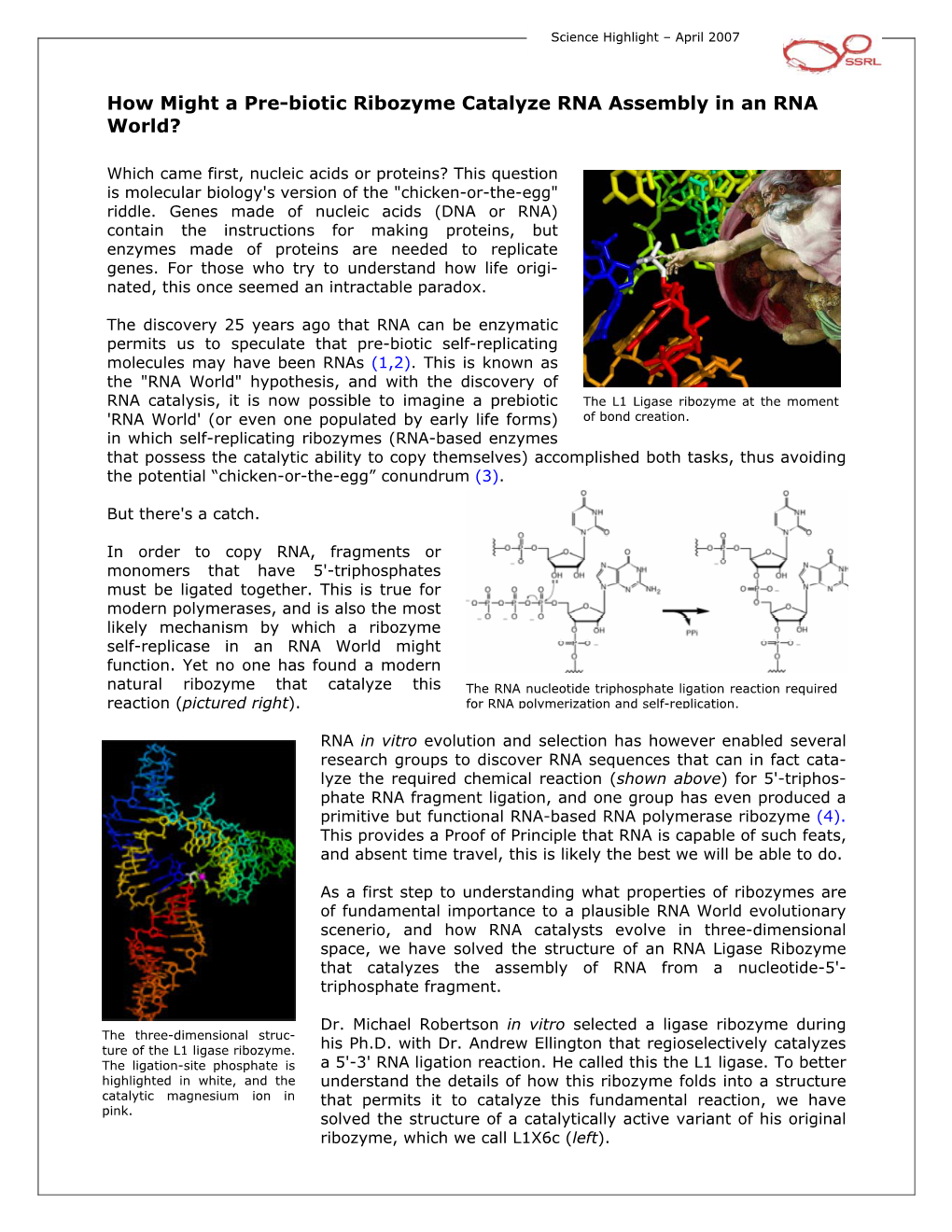 How Might a Pre-Biotic Ribozyme Catalyze RNA Assembly in an RNA World?