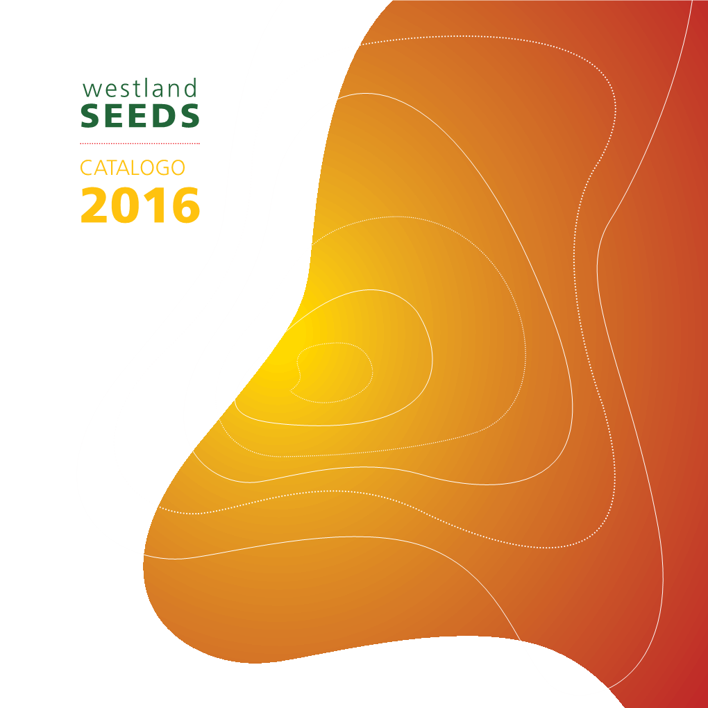 Westland 33 SEEDS Westland SEEDS