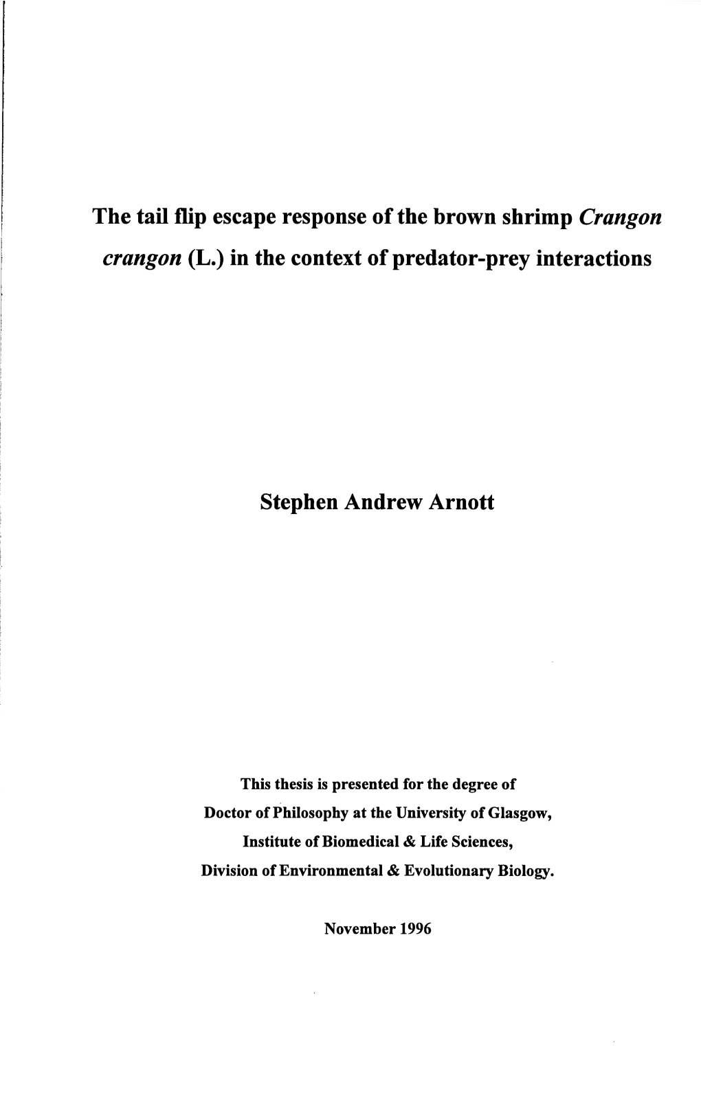 The Tail Flip Escape Response of the Brown Shrimp Crangon Crangon (L.) in the Context of Predator-Prey Interactions