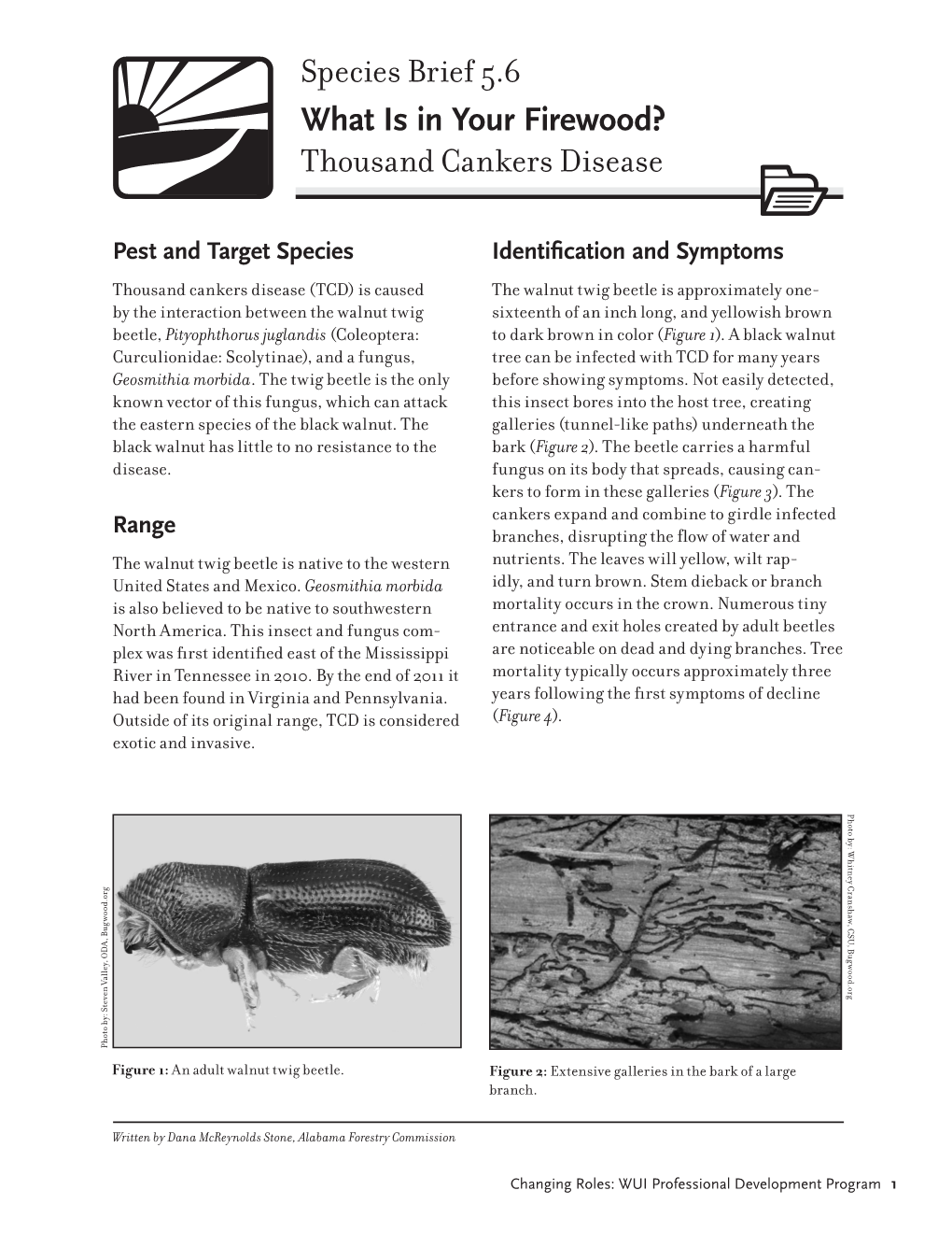 Thousand Cankers Disease