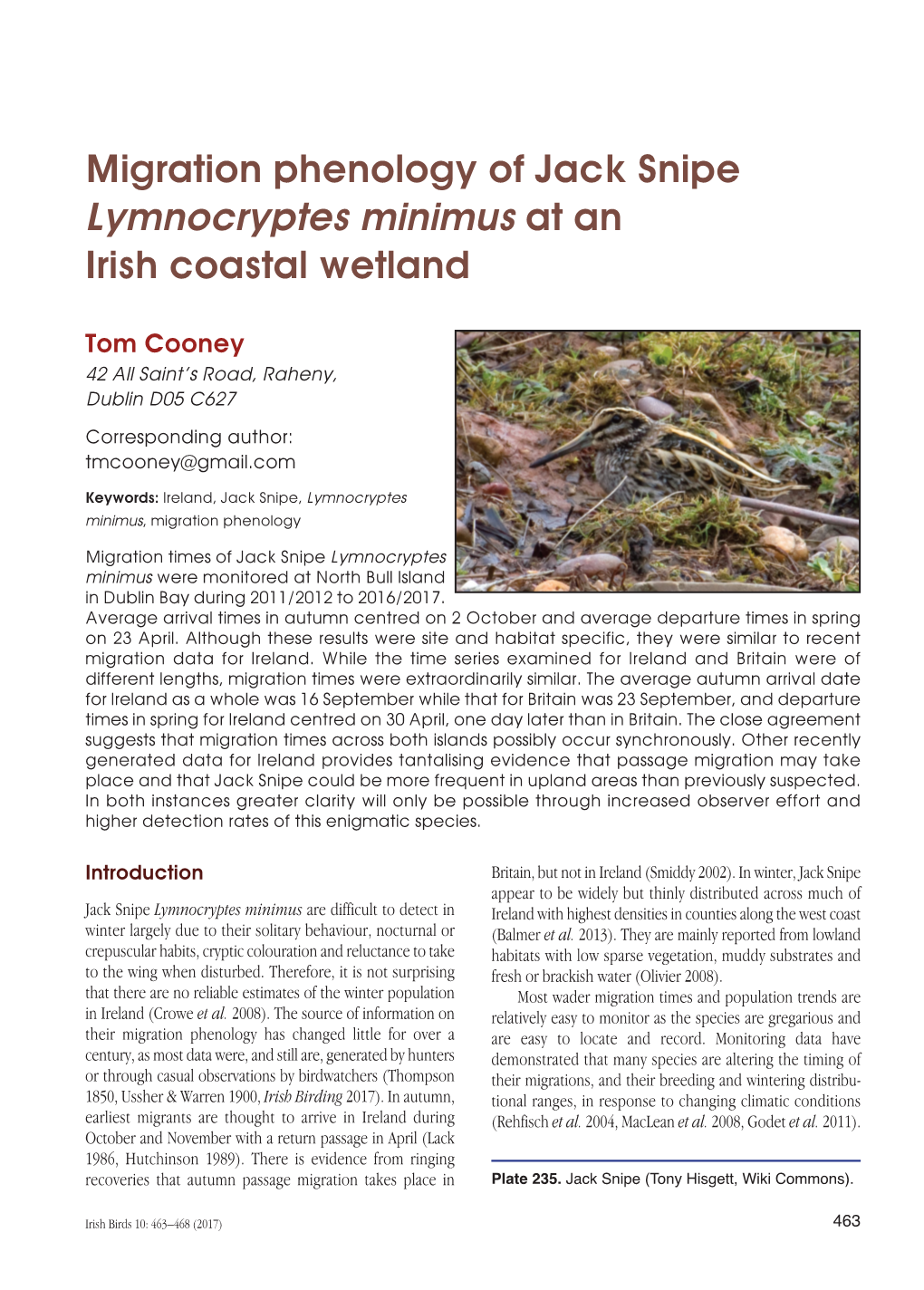Migration Phenology of Jack Snipe Lymnocryptes Minimus at an Irish Coastal Wetland
