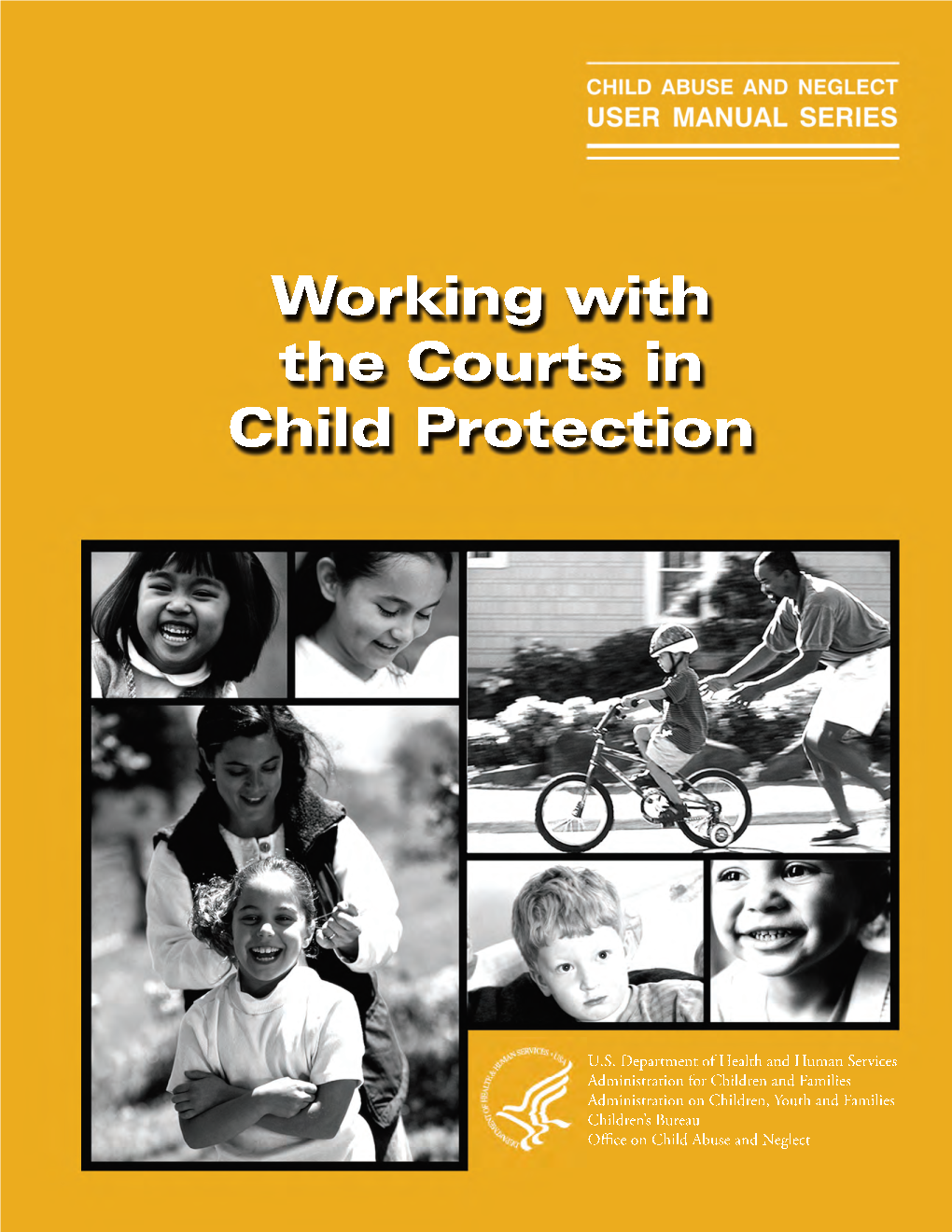 Working with the Courts in Child Protection