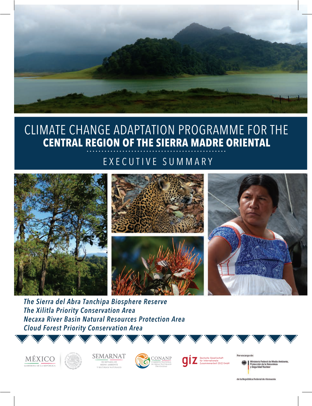 Central Region of the Sierra Madre Oriental Executive Summary