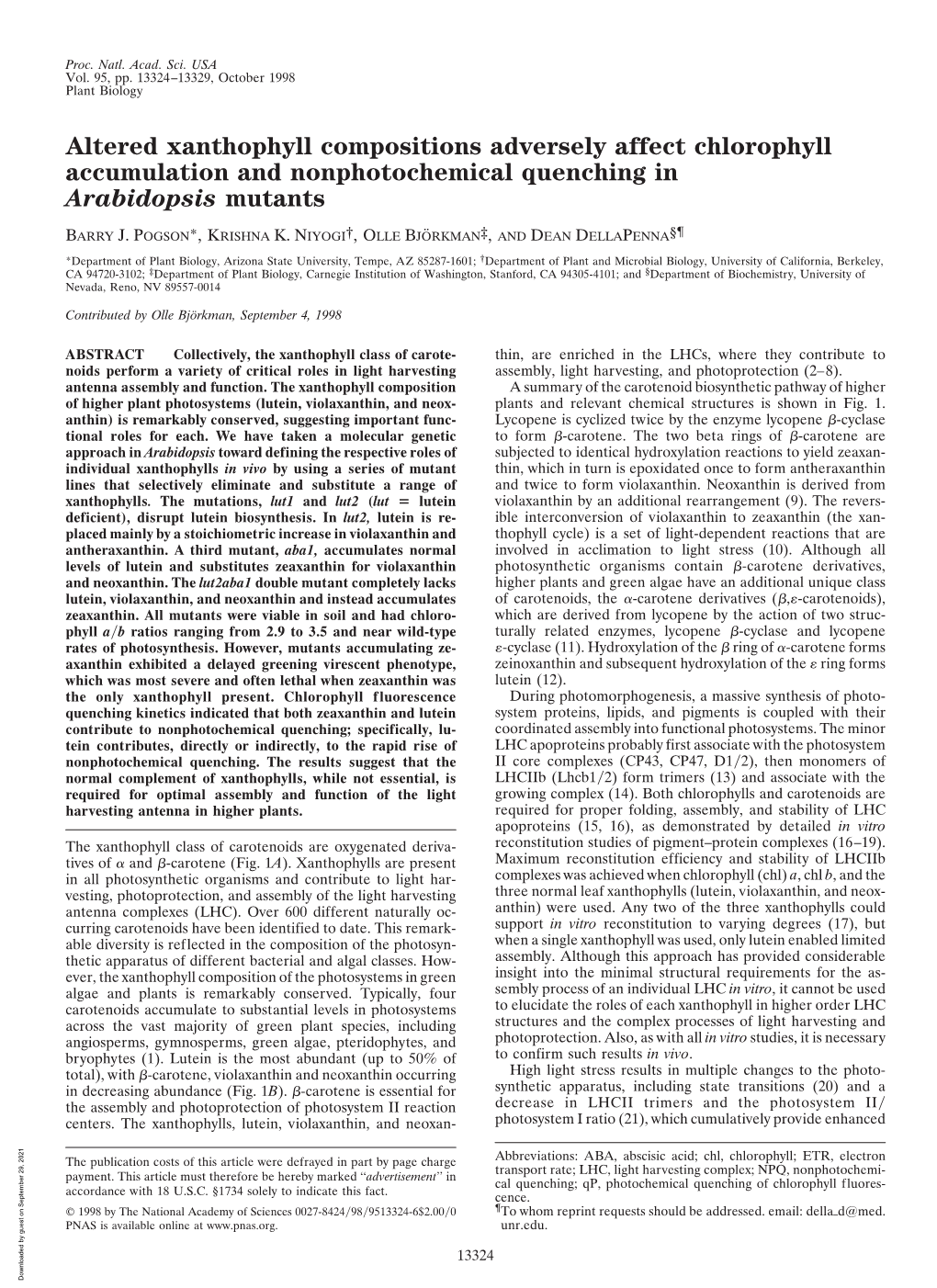 Altered Xanthophyll Compositions Adversely Affect Chlorophyll Accumulation and Nonphotochemical Quenching in Arabidopsis Mutants