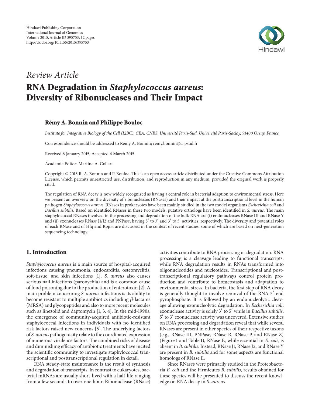 Review Article RNA Degradation in Staphylococcus Aureus: Diversity of Ribonucleases and Their Impact