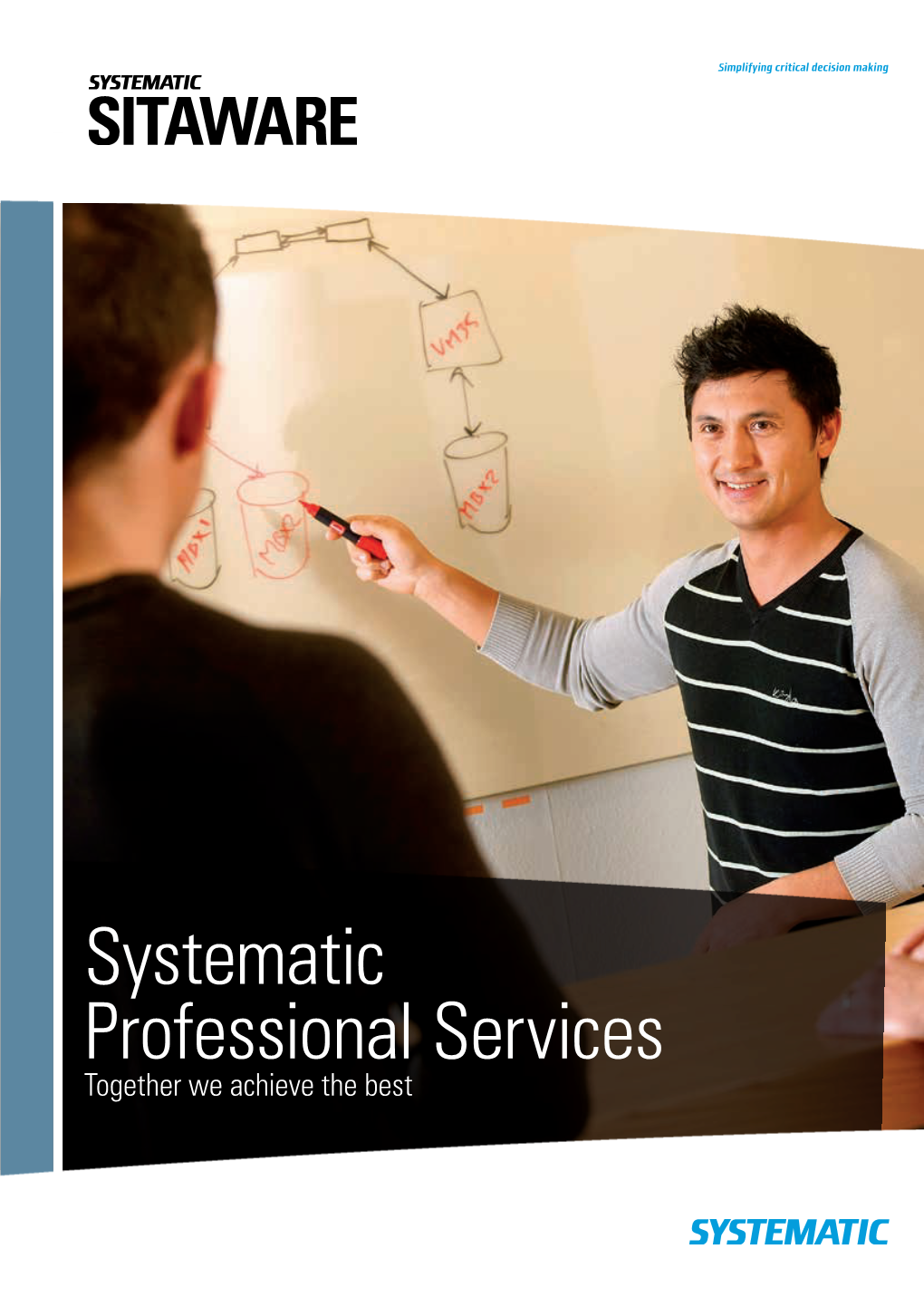 Systematic Professional Services