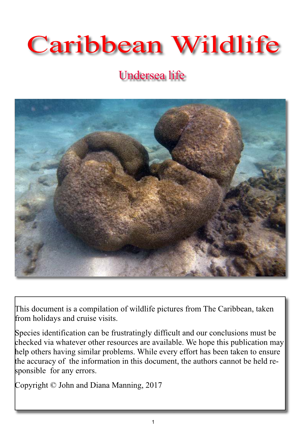 Caribbean Wildlife Undersea 2017