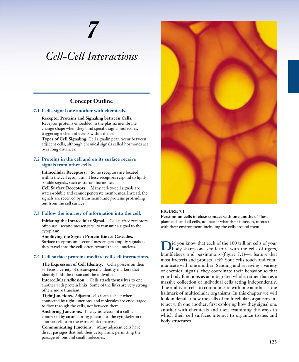 Cell-Cell Interactions