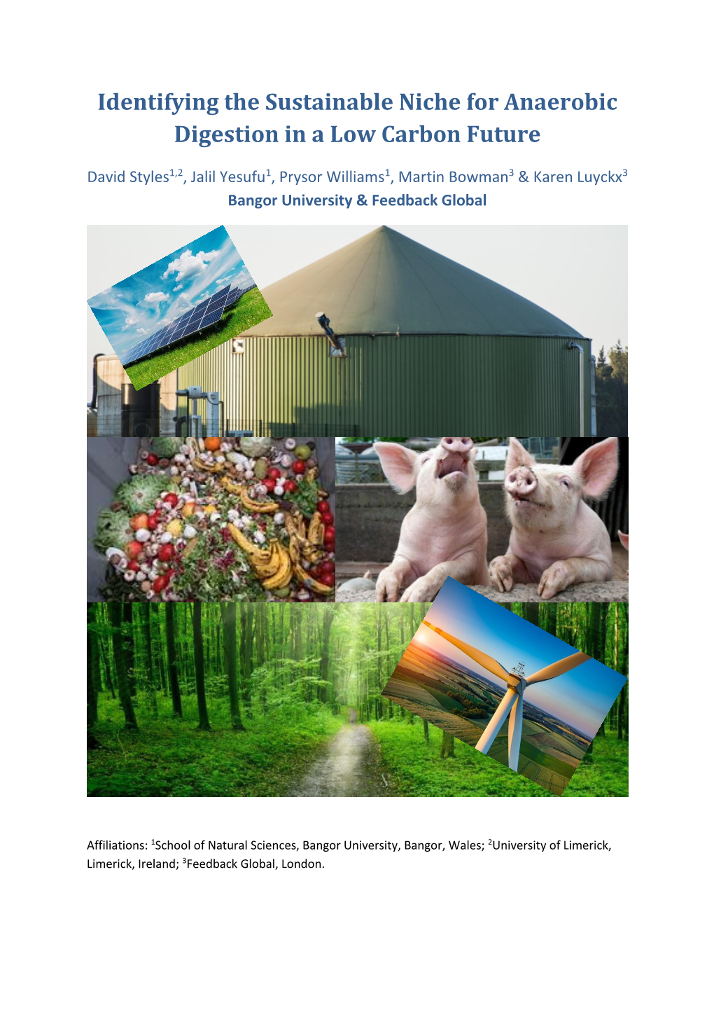 Identifying the Sustainable Niche for Anaerobic Digestion in a Low Carbon Future