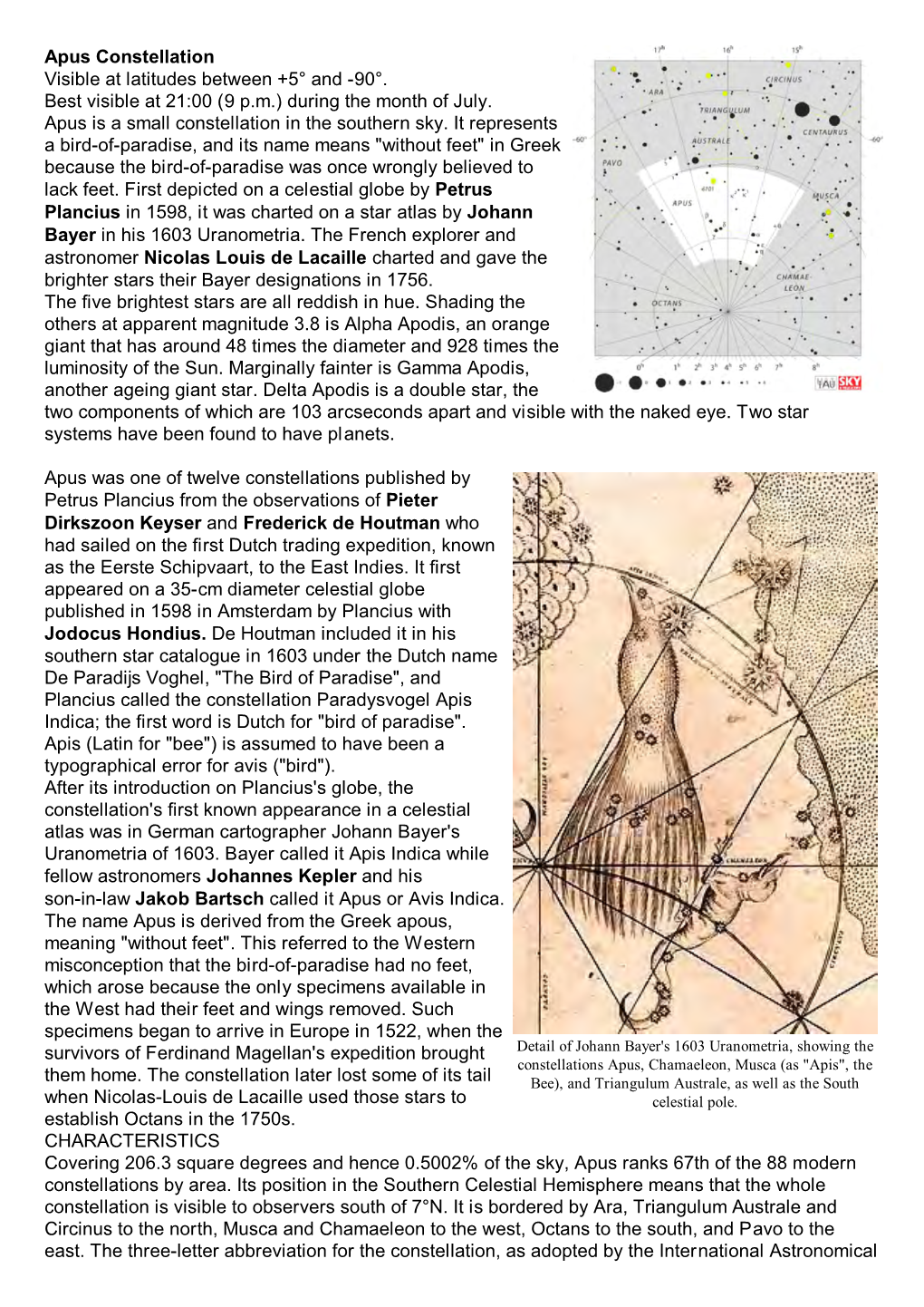 Apus Constellation Visible at Latitudes Between +5° and -90°