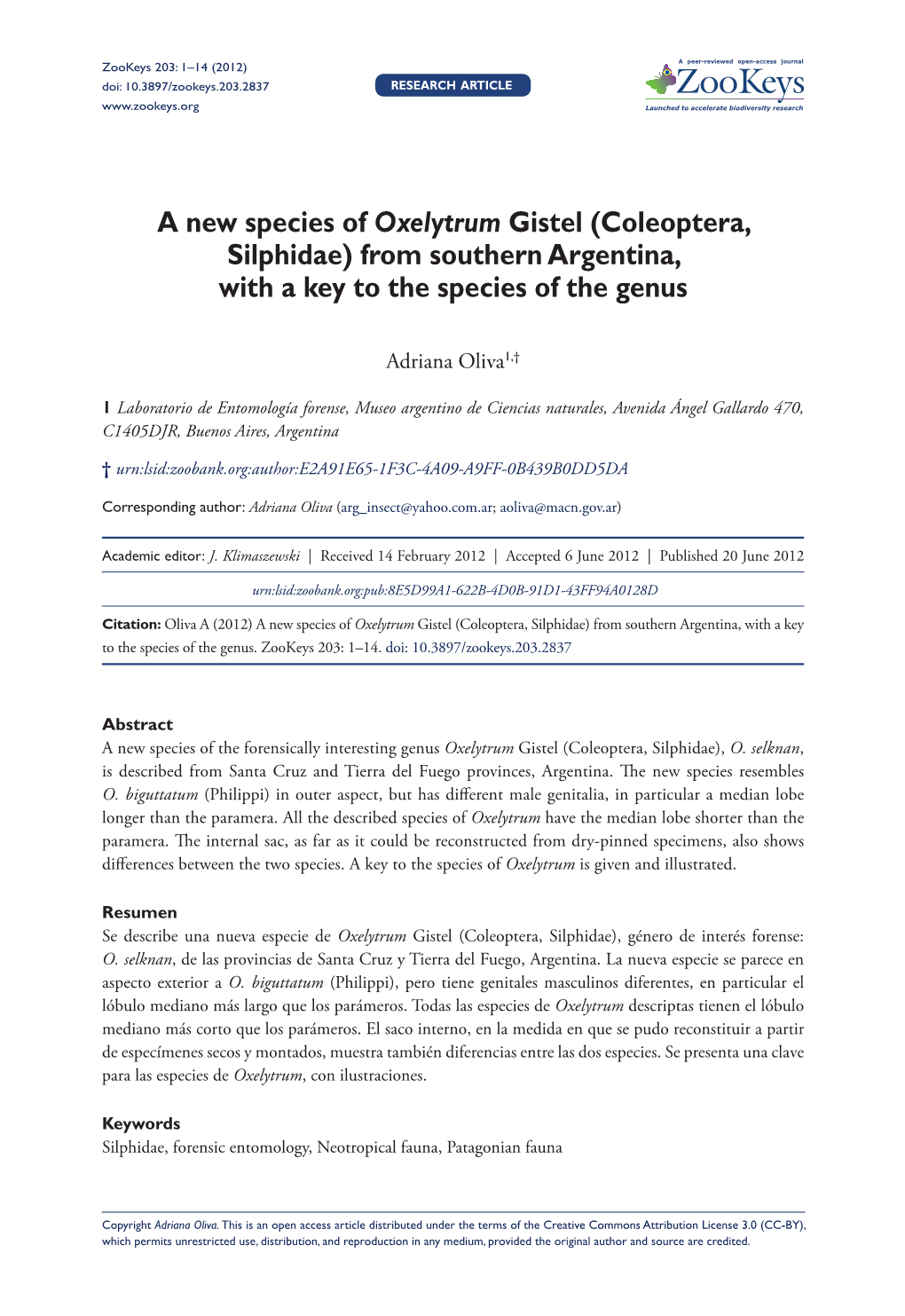 A New Species of Oxelytrum Gistel (Coleoptera, Silphidae) from Southern Argentina, with a Key to the Species of the Genus