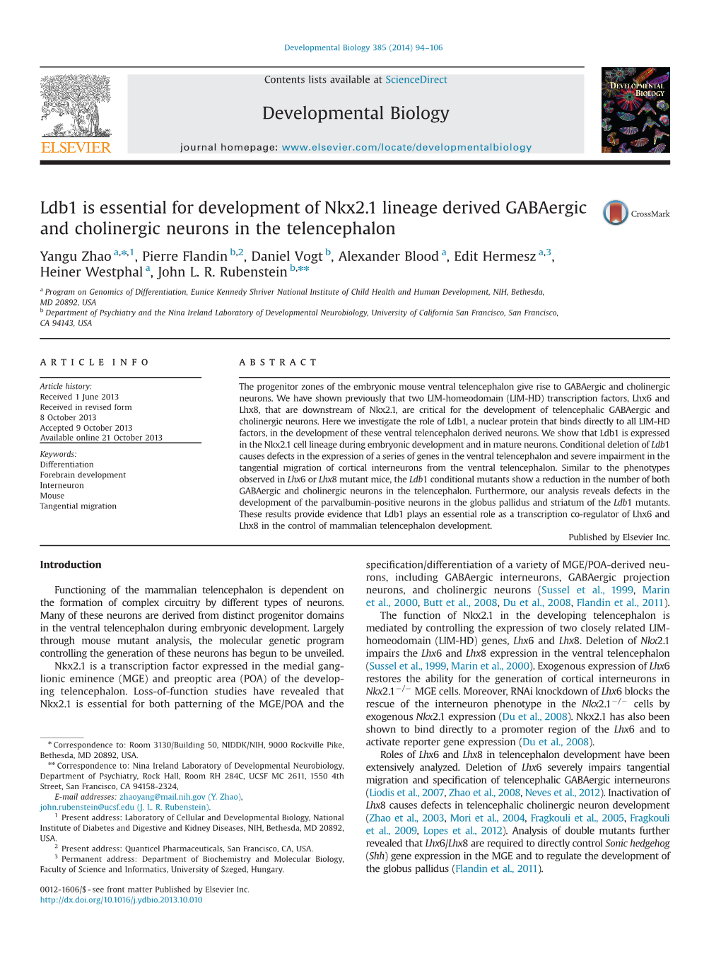 Ldb1 Is Essential for Development of Nkx2.1 Lineage Derived Gabaergic and Cholinergic Neurons in the Telencephalon