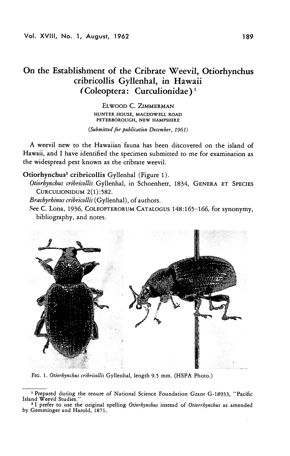 On the Establishment of the Cribrate Weevil, Otiorhynchus Cribricollis Gyllenhal, in Hawaii ( Coleoptera: Curculionidae )X