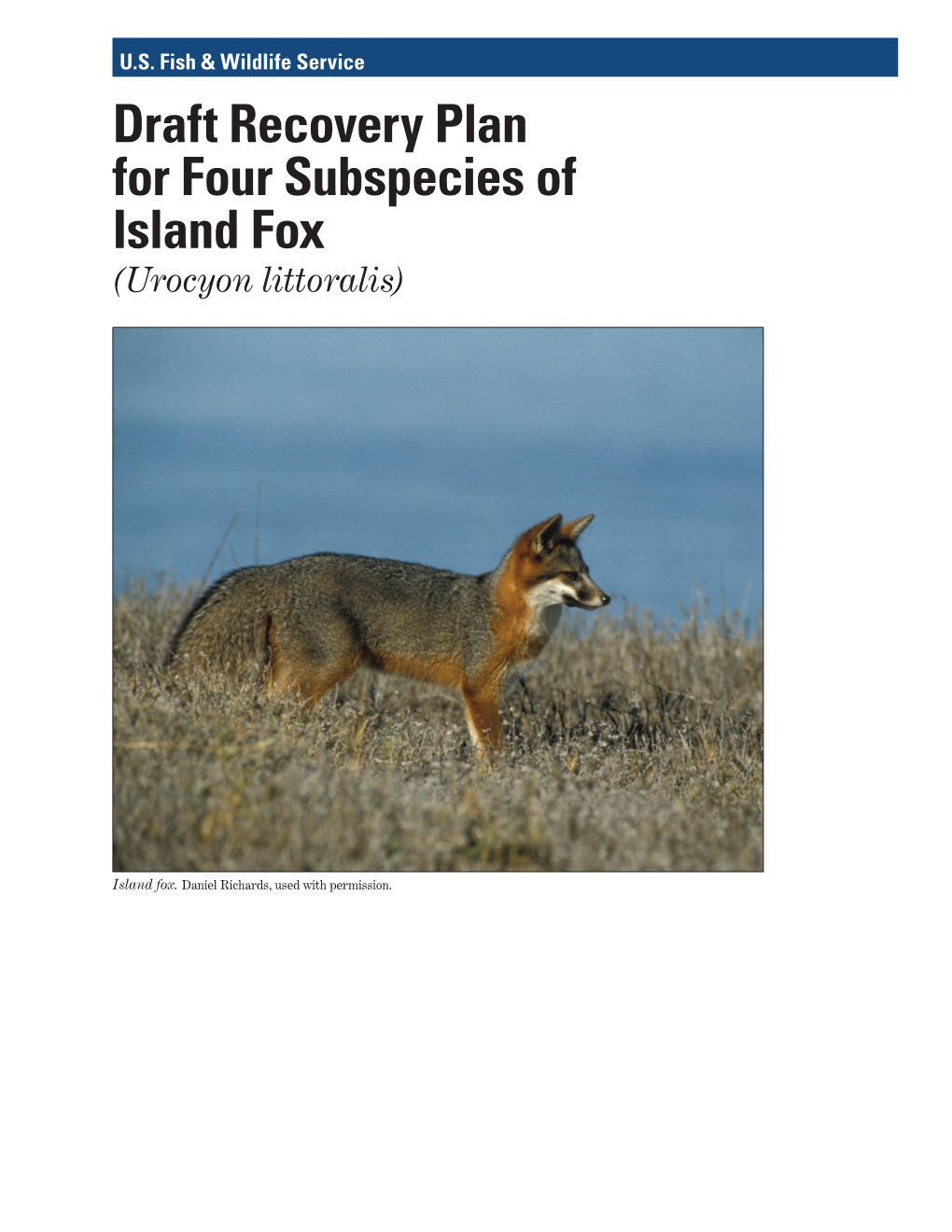 Draft Recovery Plan for Four Subspecies of Island Fox (Urocyon Littoralis)