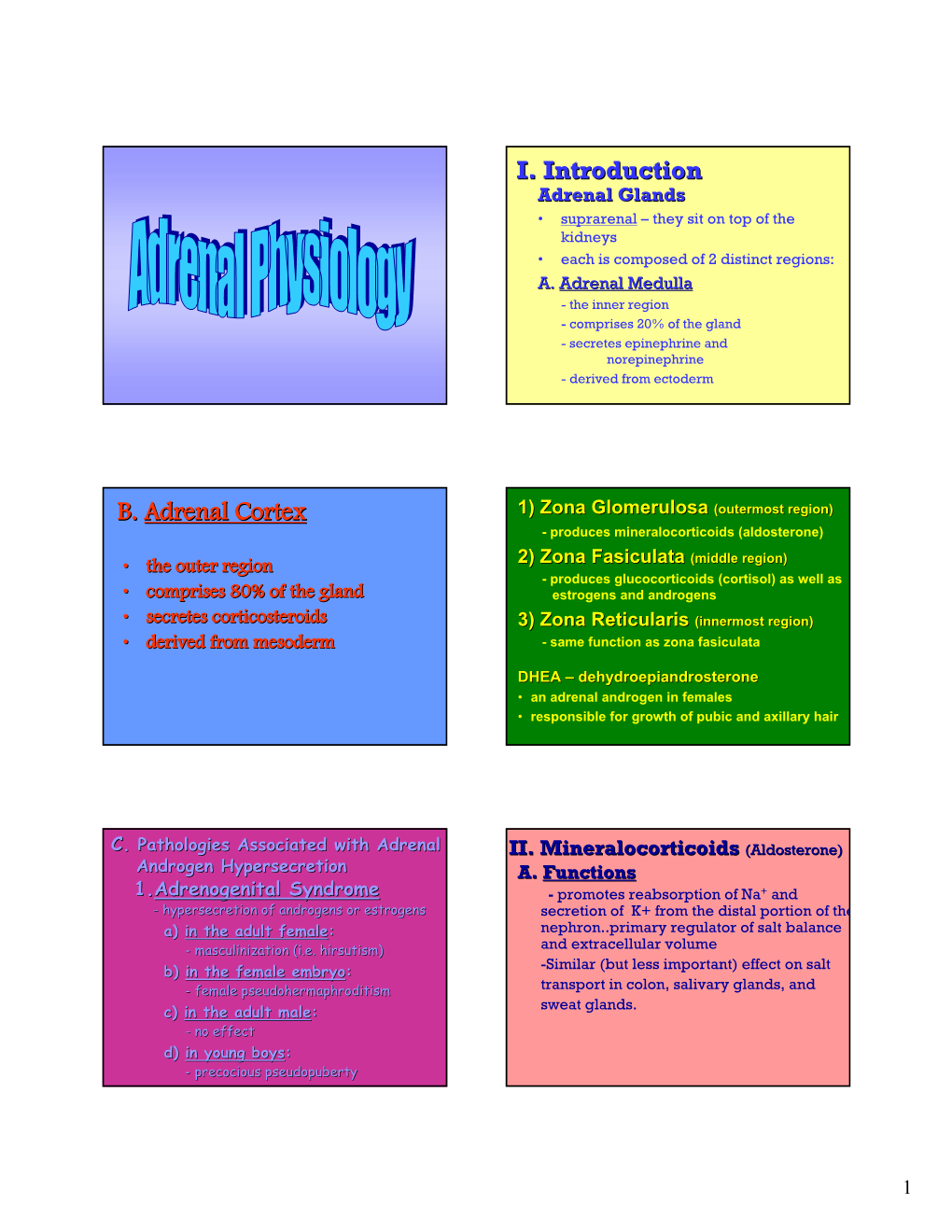 I. Introduction B. Adrenal Cortex