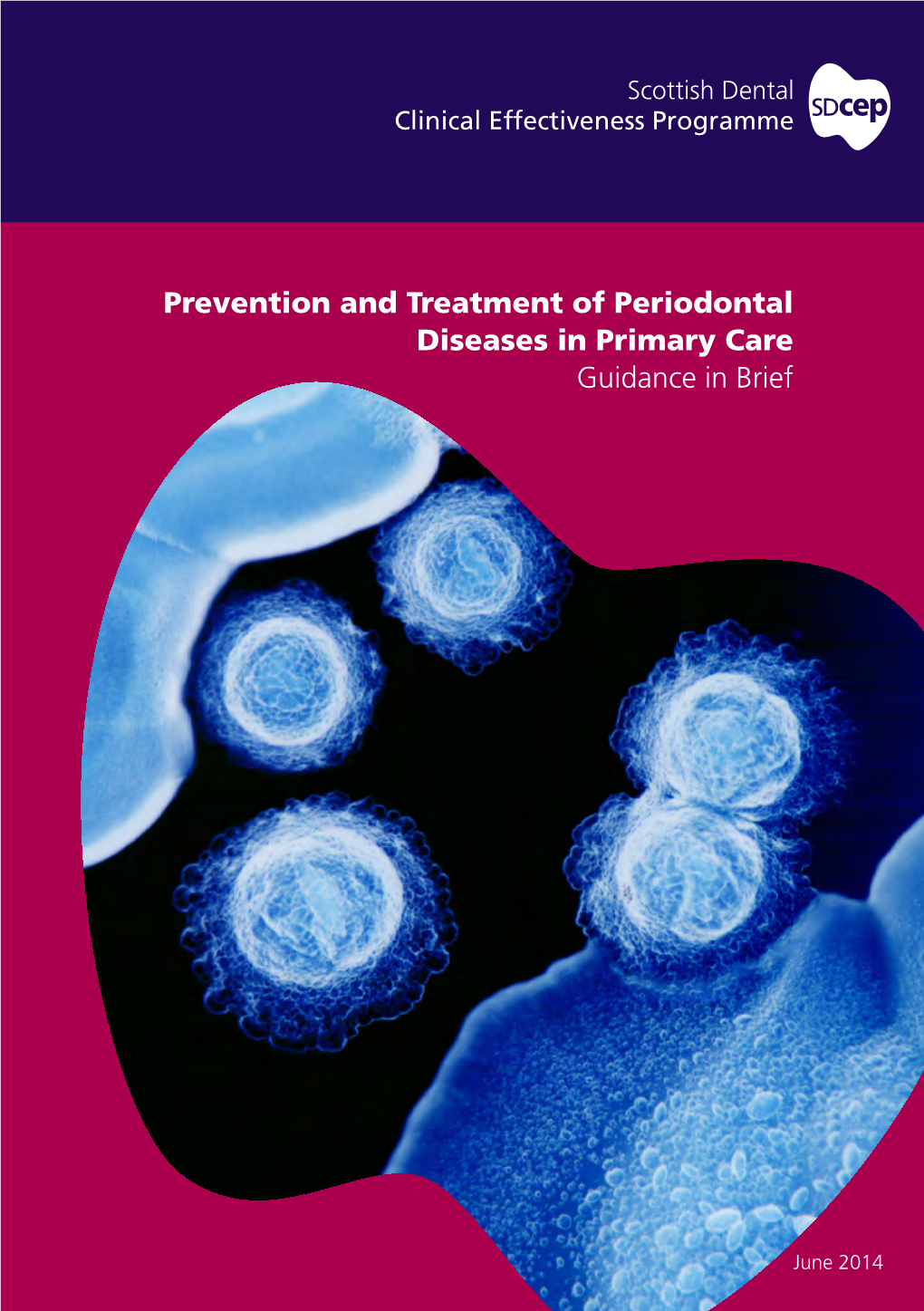 Prevention and Treatment of Periodontal Diseases in Primary Care Guidance in Brief