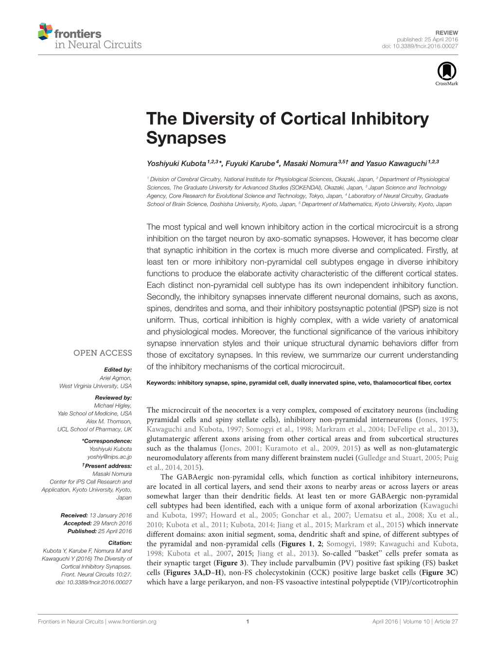 The Diversity of Cortical Inhibitory Synapses