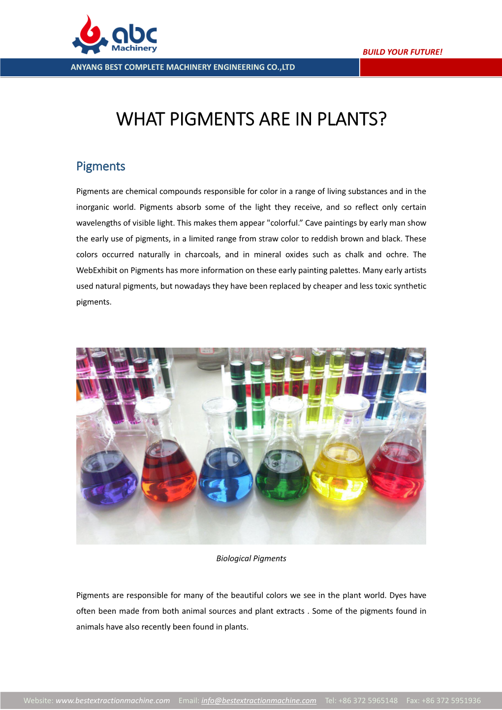 What Pigments Are in Plants?