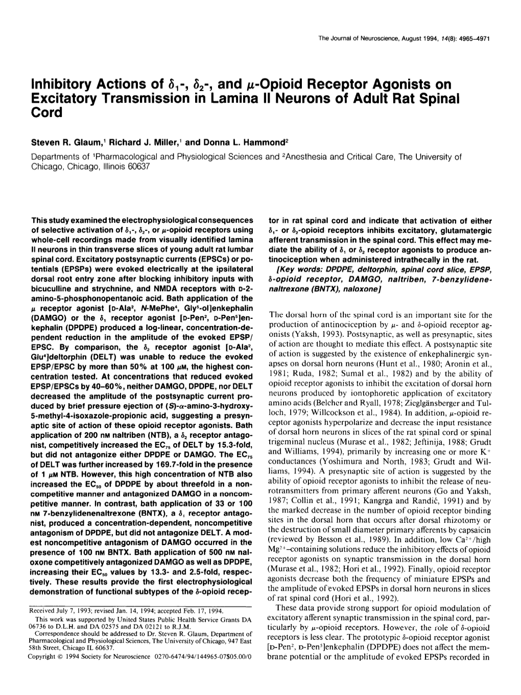 A,-, and P-Opioid Receptor Agonists on Excitatory Transmission in Lamina II Neurons of Adult Rat Spinal Cord