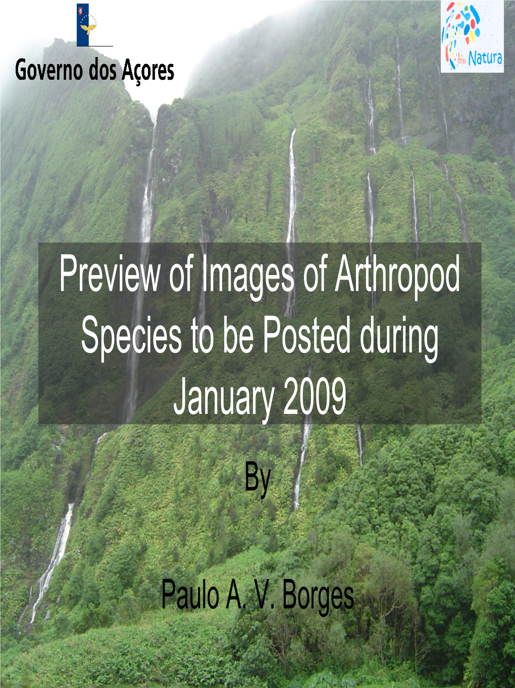 Preview of Images of Arthropod Species to Be Posted During January 2009 By