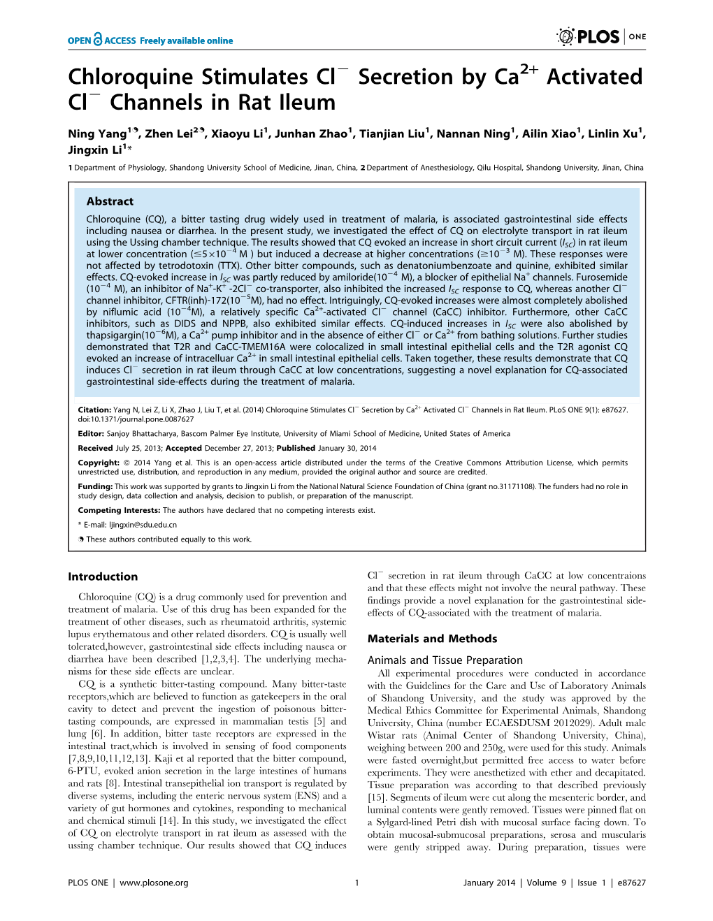 Chloroquine Stimulates Cl Secretion by Ca Activated Cl Channels in Rat