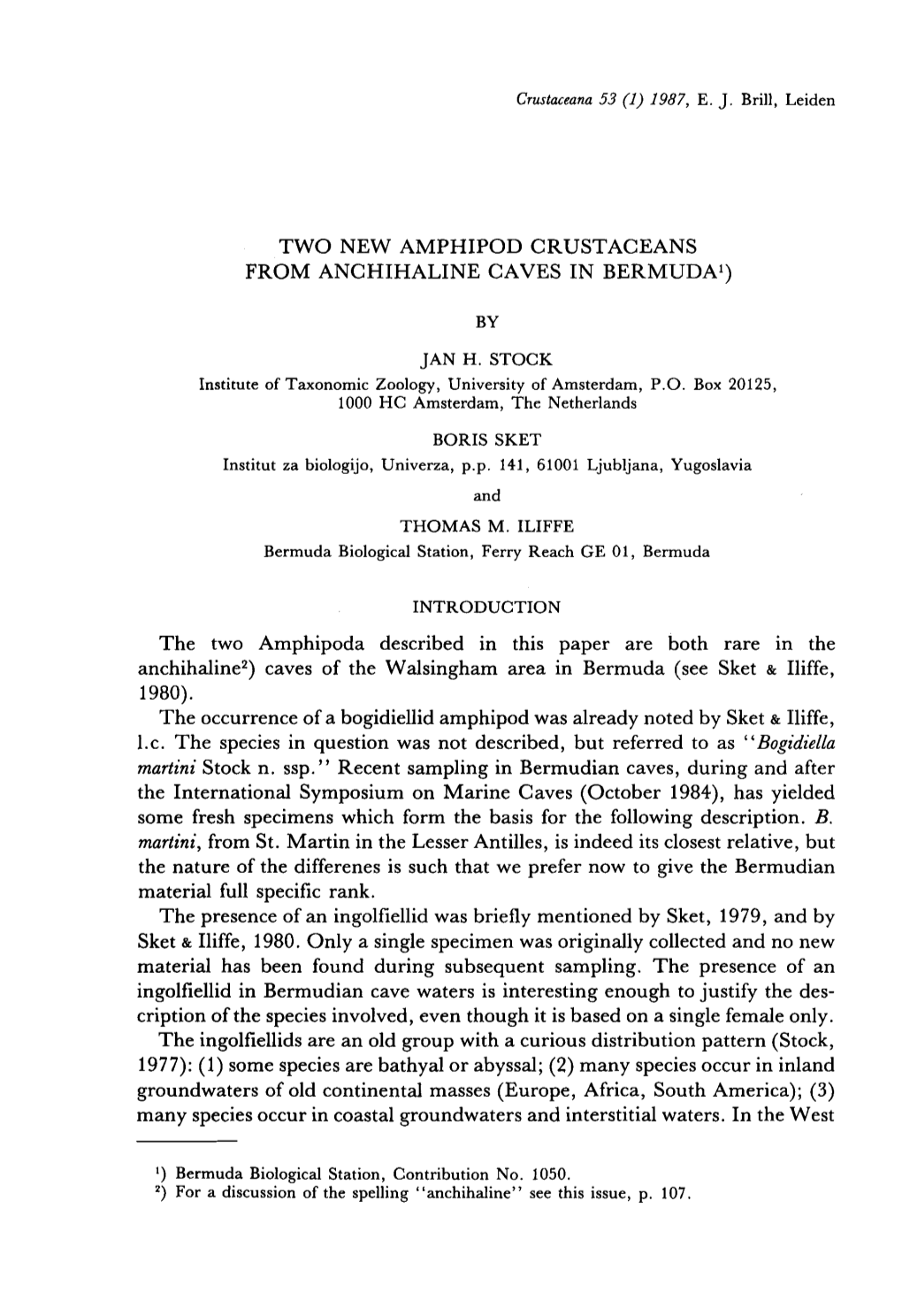 Two New Amphipod Crustaceans from Anchihaline Caves in Bermuda1)