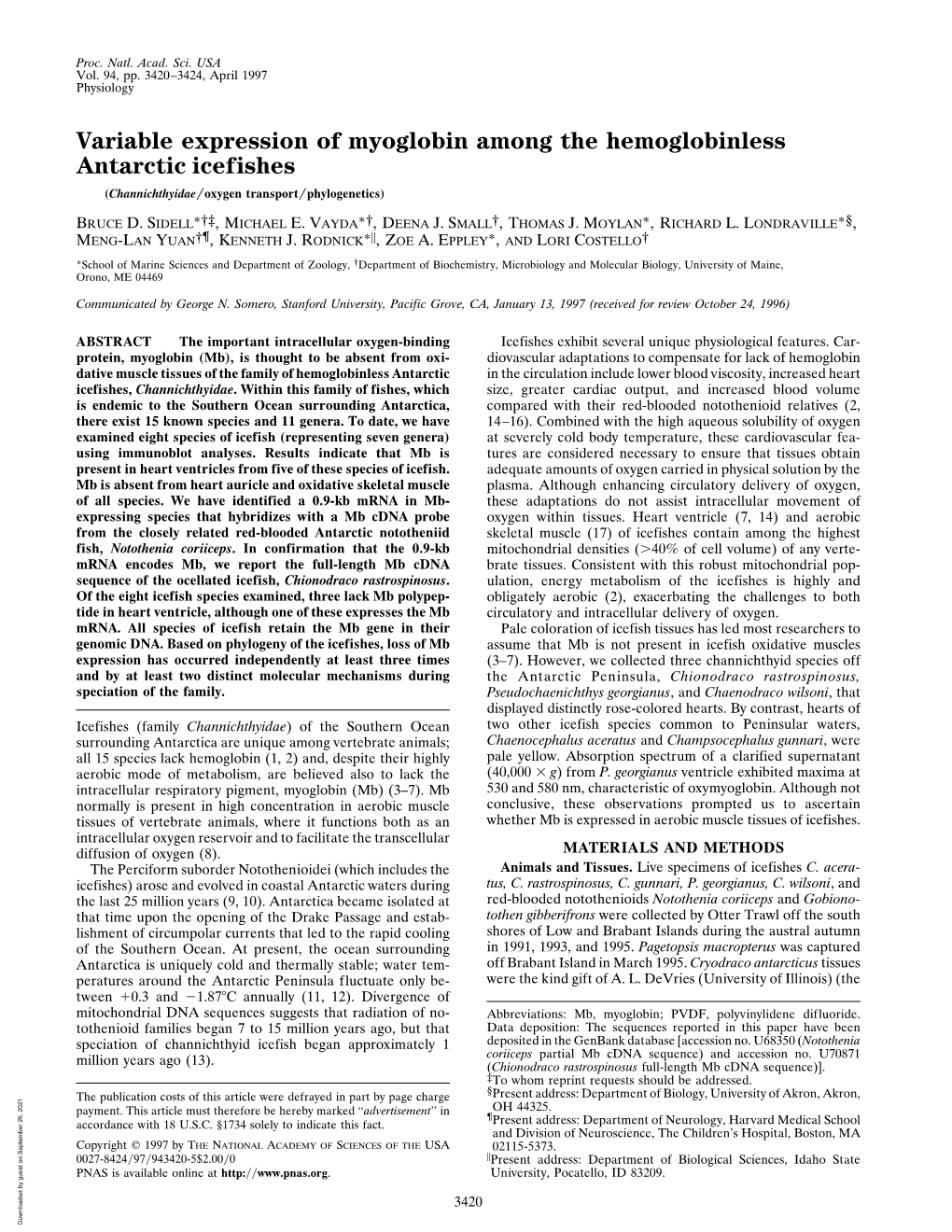 Variable Expression of Myoglobin Among the Hemoglobinless Antarctic Icefishes (Channichthyidae͞oxygen Transport͞phylogenetics)