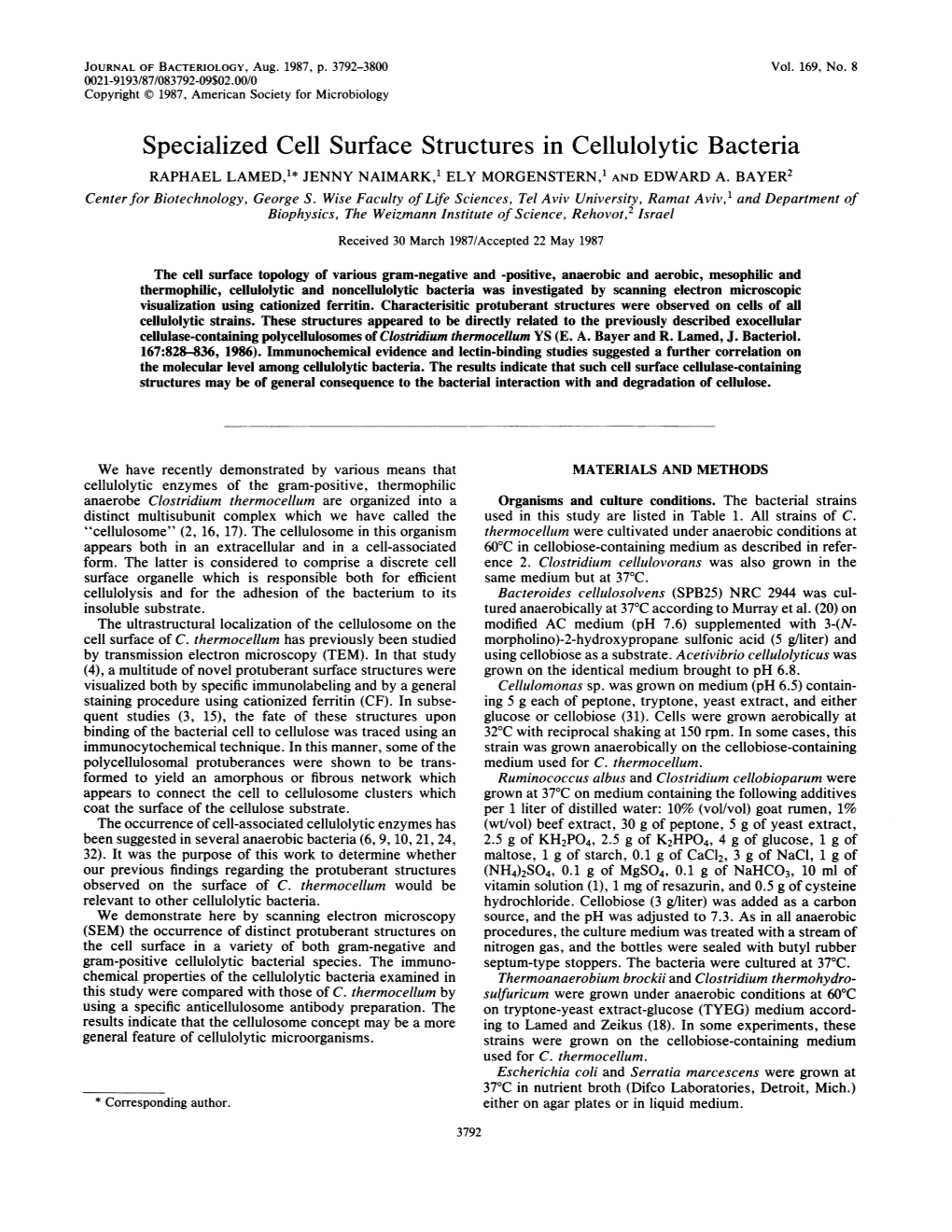 Specialized Cell Surface Structures in Cellulolytic Bacteria RAPHAEL LAMED,'* JENNY NAIMARK,' ELY MORGENSTERN,' and EDWARD A