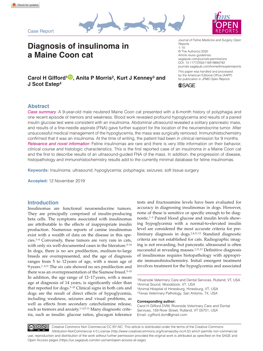 Diagnosis of Insulinoma in a Maine Coon