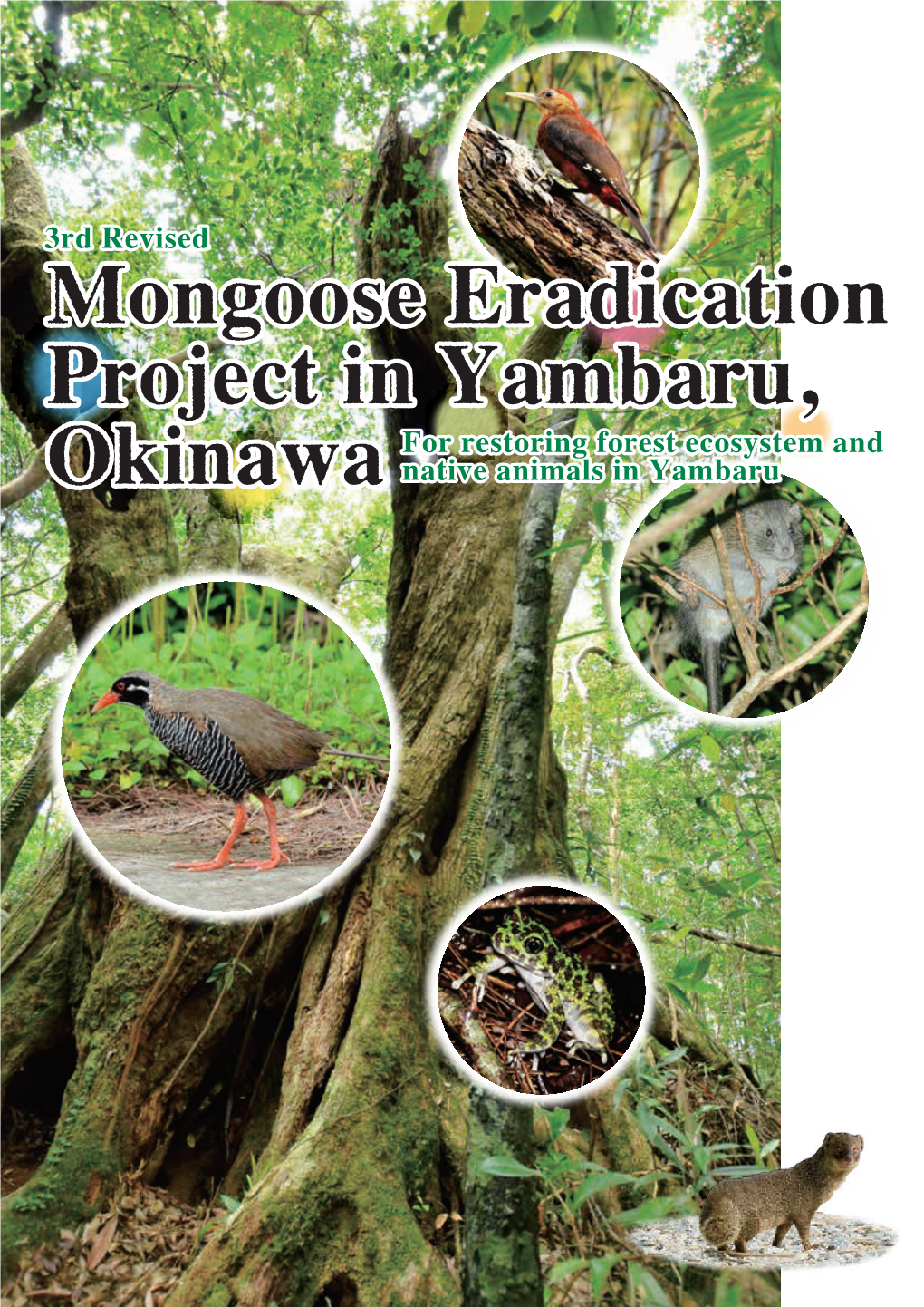 For Restoring Forest Ecosystem and Native Animals in Yambaru For