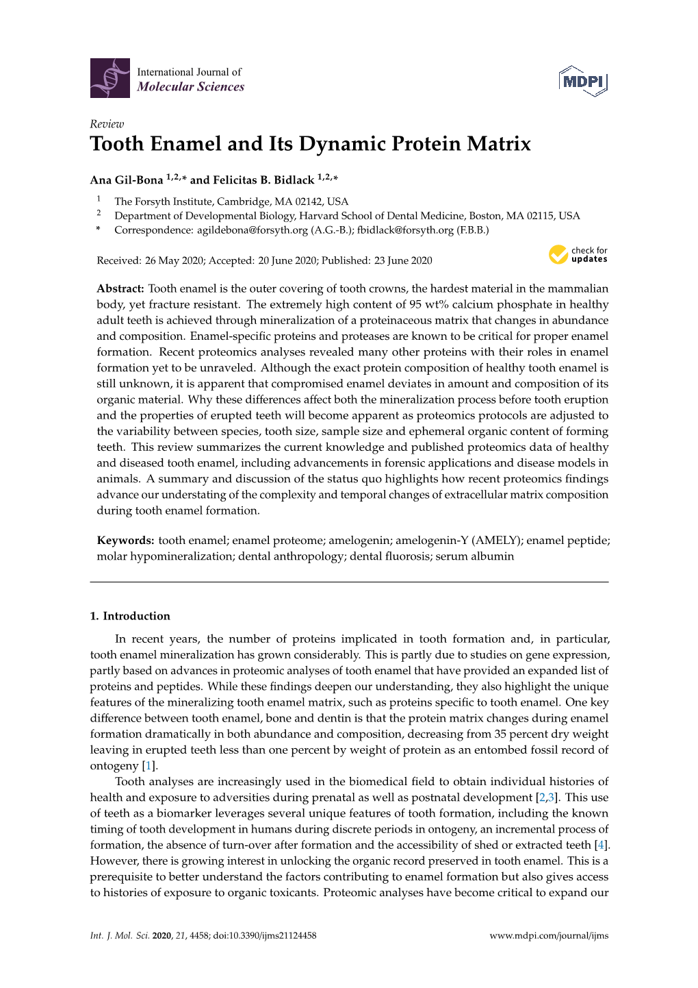 Tooth Enamel and Its Dynamic Protein Matrix