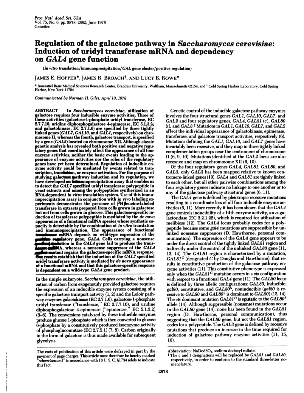 Induction of Uridyl Transferase Mrna-And Dependency on GAL4 Gene Function (In Vitro Translation/Immunoprecipitation/GAL Gene Cluster/Positive Regulation) JAMES E