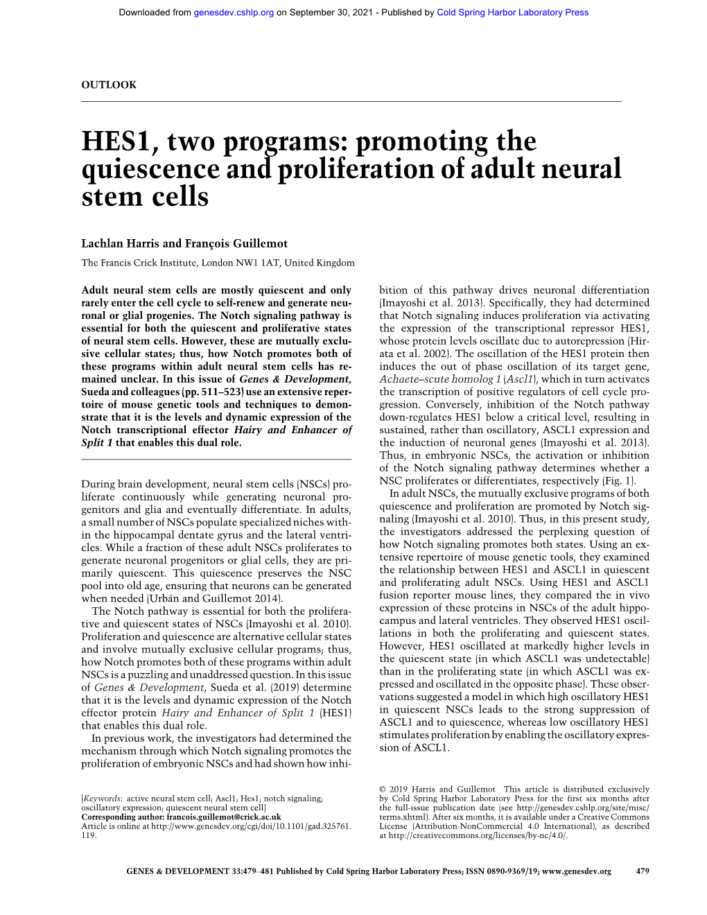 HES1, Two Programs: Promoting the Quiescence and Proliferation of Adult Neural Stem Cells